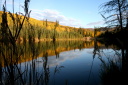 autumn beaver pond